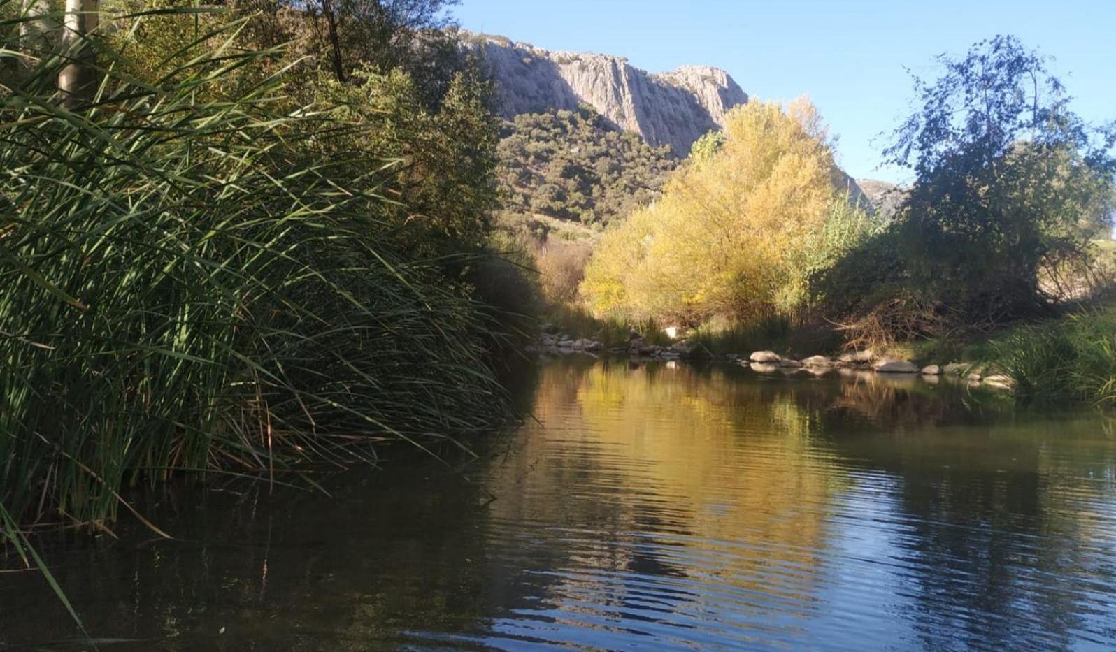 Holiday home Casitas Cueva Del Gato *